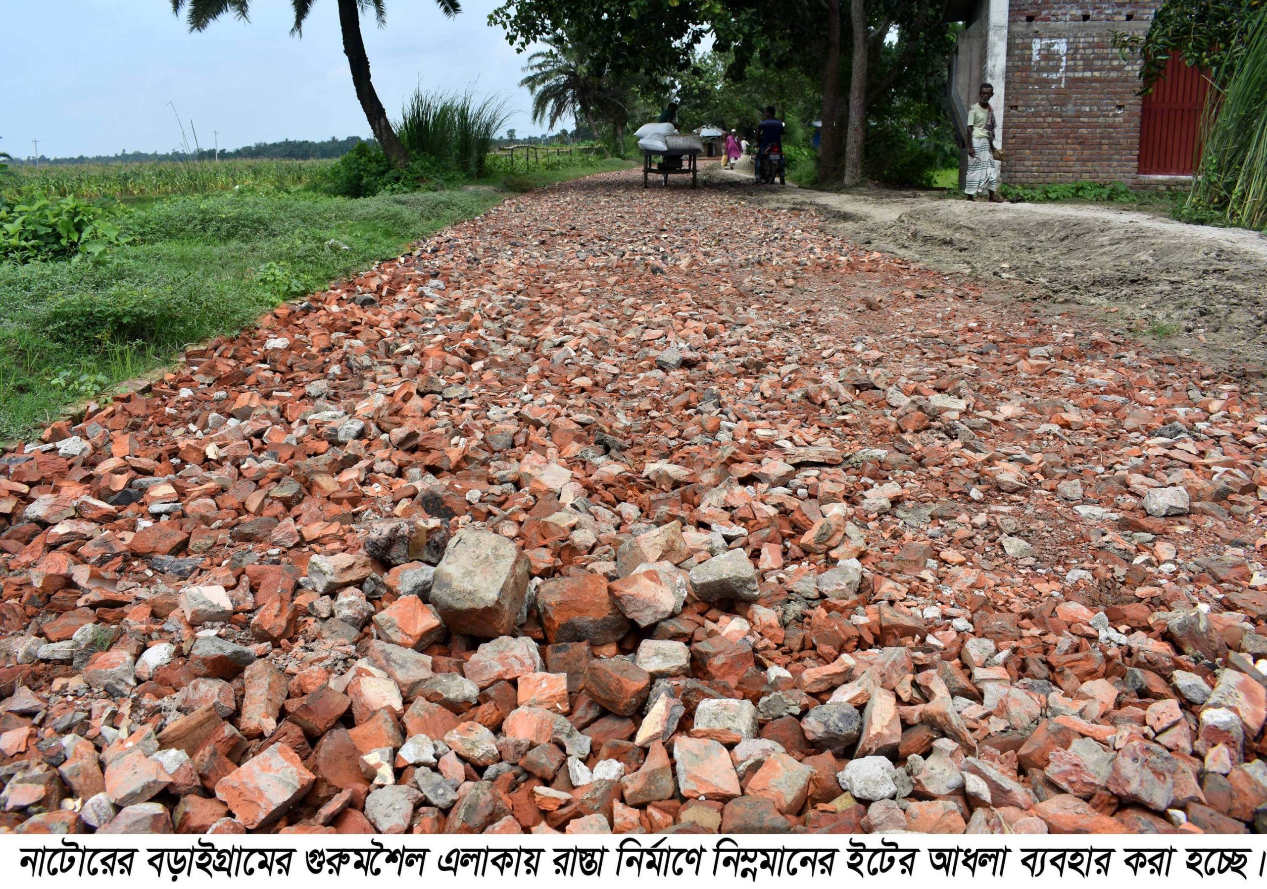 বড়াইগ্রামে রাস্তা নির্মাণে চরম অনিয়ম