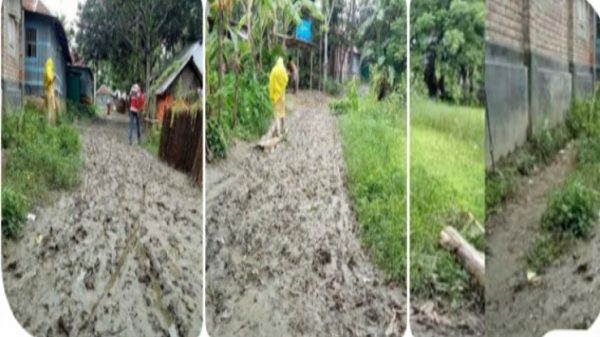 নাটোরের লালপুরের ডাঙ্গপাড়াচিলানের রাস্তার বেহাল অবস্থা, দুর্ভোগের অবসান চাই এলাকাবাসী