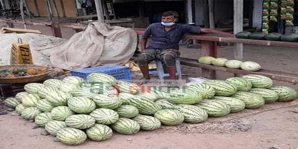 লালপুরে তরমুজের মূল্য ধরা-ছোঁয়ার  বাহিরে