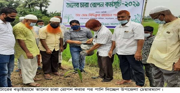 নাটোরের বড়াইগ্রামে তালের চারা রোপণ কর্মসূচির উদ্বোধন