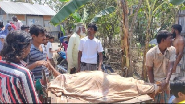 বড়াইগ্রামে ভটভটির ধাক্কায় সাইকেল আরোহী দর্জির মৃত্যু